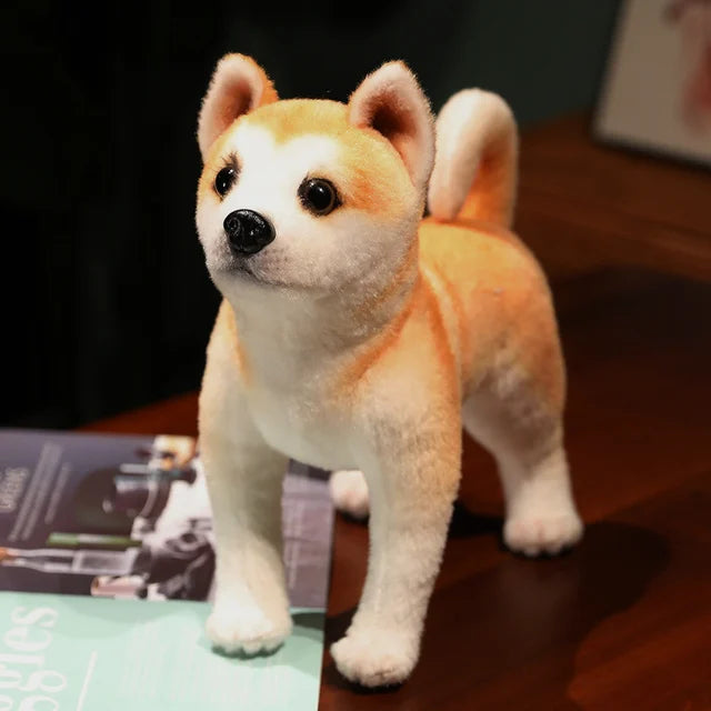 Realistic Shiba Stuffed Animal 25cm 10in A