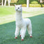 Big Llama Stuffed Animal