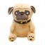 Big Pug Stuffed Animal 35cm 14in