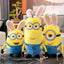 Bunny Stuffed Animals