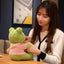 Cute Frog Stuffed Animal