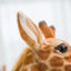 Giraffe Life Size Stuffed Animal