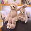 Gray Sloth Stuffed Animal