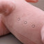Pig Stuffed Animal Toy