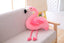 Plush Flamingo Stuffed Animal 25CM 10in Pink