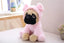 Pug Dog Stuffed Animal Pig 20cm 8in