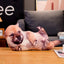 Realistic Dog Stuffed Animal 50cm 20in I