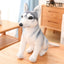 Siberian Husky Dog Stuffed Animal 53cm 21in sit
