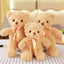 Teddy Bear Stuffed Animal
