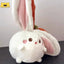 Wrapped Stuffed Animal 35cm 14in persimmon bunny